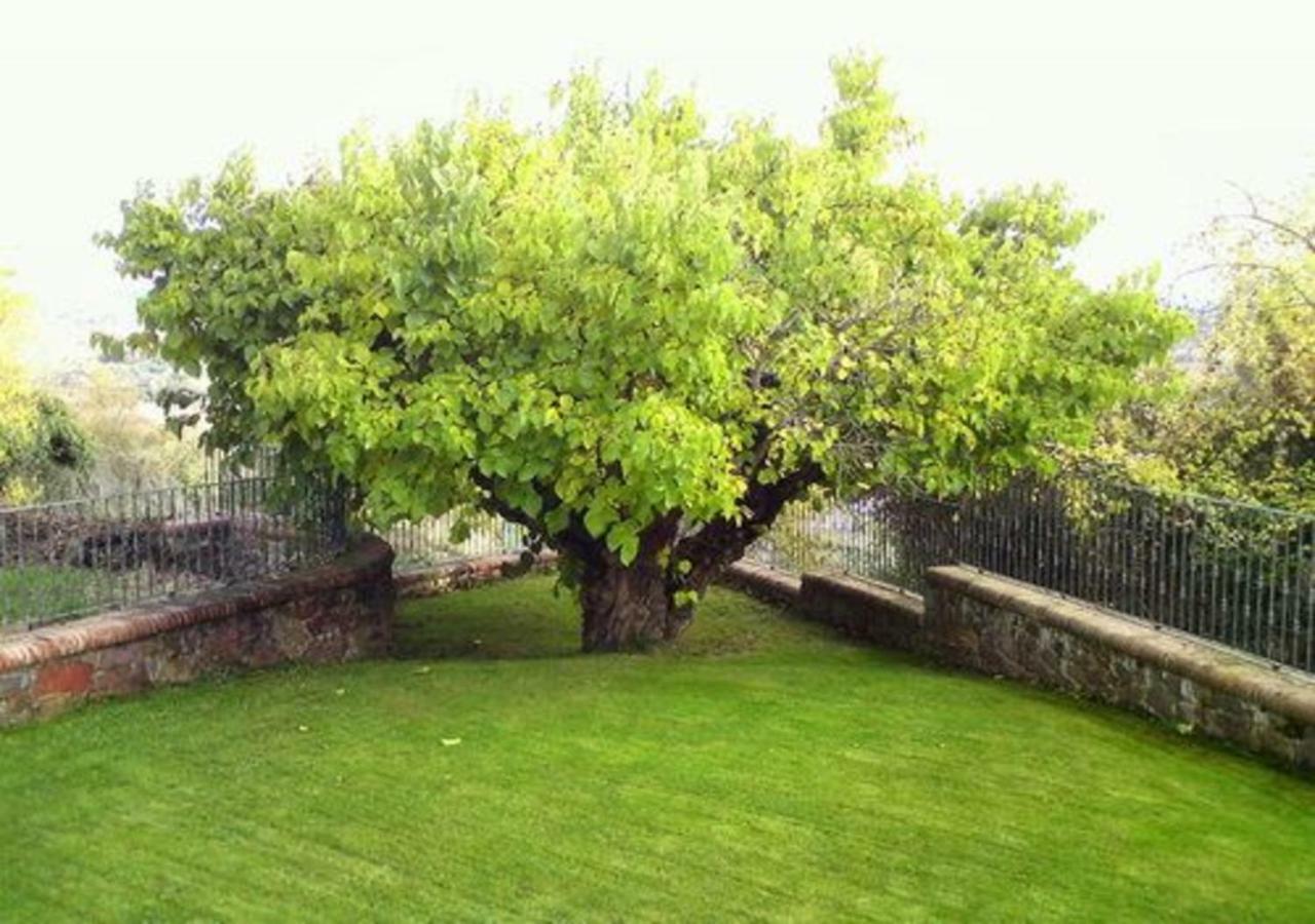 El Patio De La Morera El Rasillo Εξωτερικό φωτογραφία